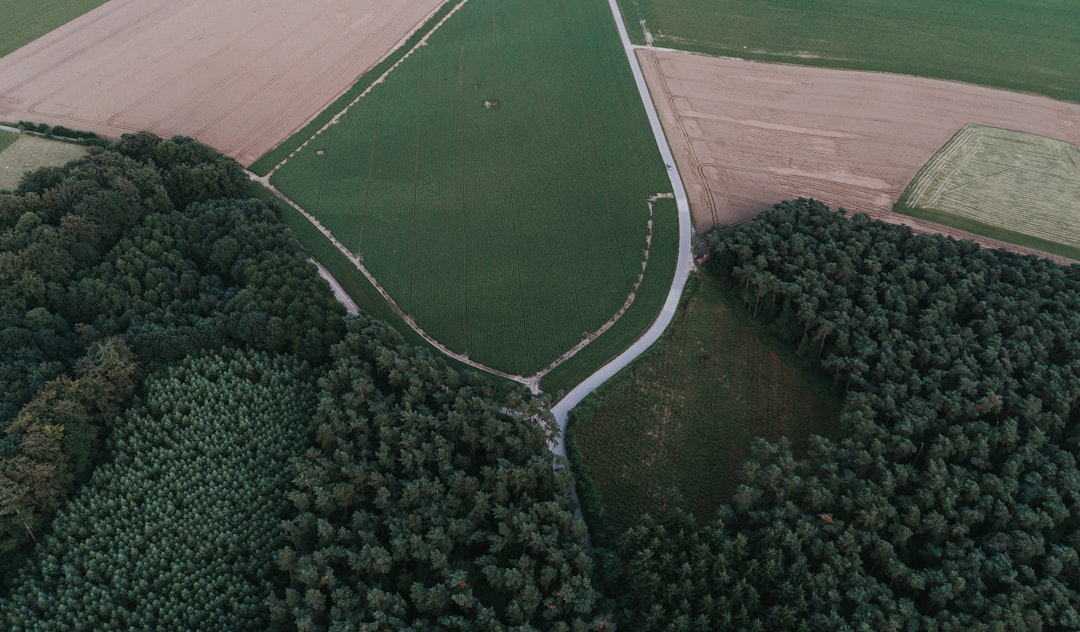 System hybrydowy z pompą ciepła i fotowoltaiką