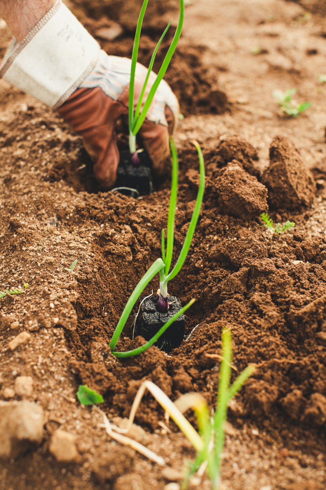 Instalacja fotowoltaiczna dofinansowana z programu Agroenergia